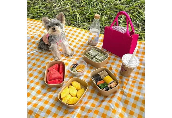 Foldable Picnic Blanket 80×80 · Yellow, photo 2