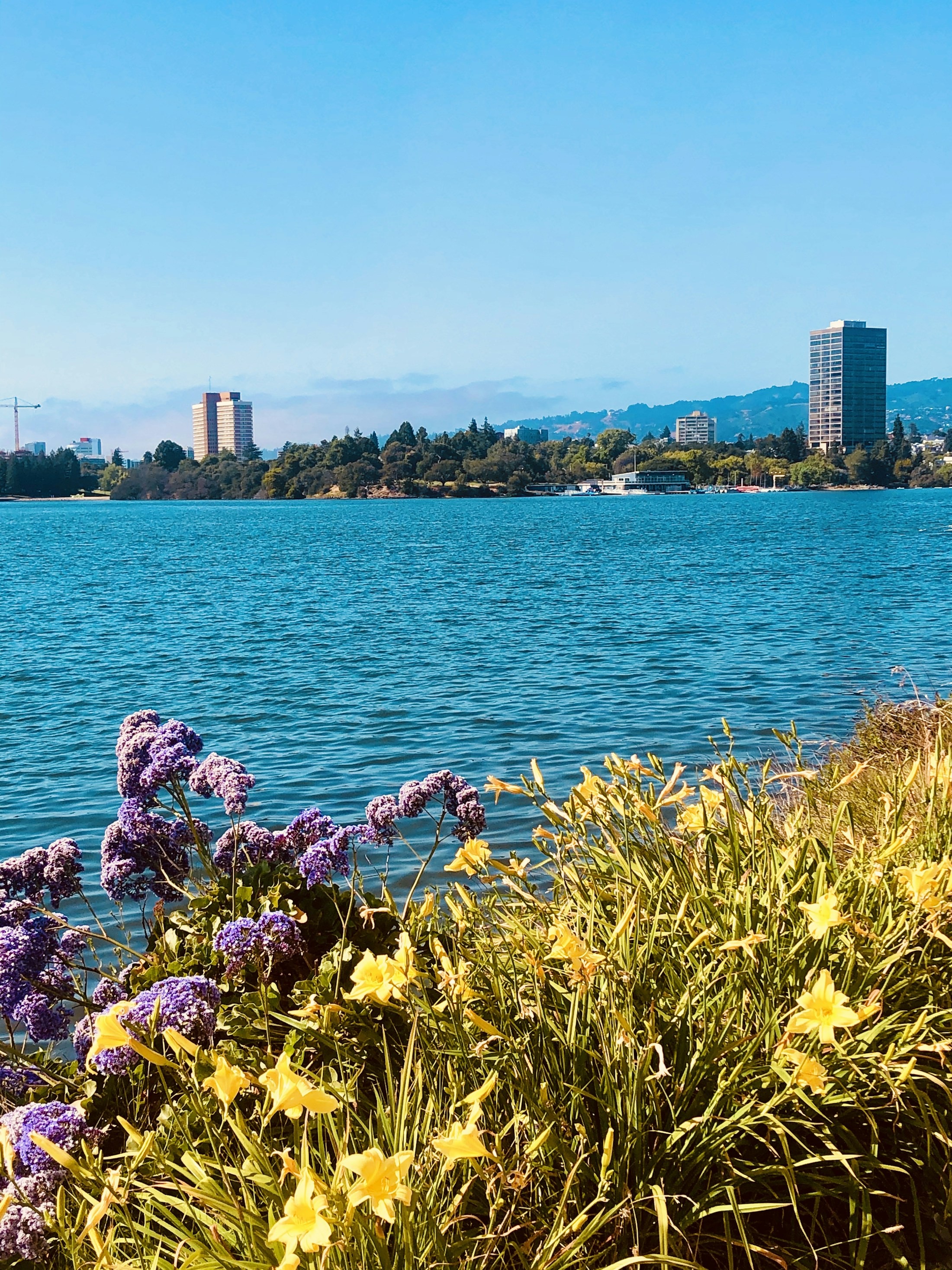 Umbrella overlooking Lake Merritt